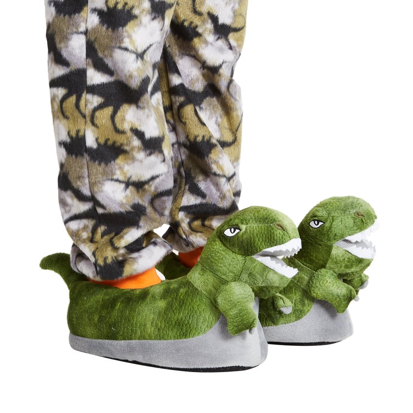 Dinosaur Kids Slippers